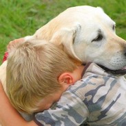 De l’intérêt des animaux domestiques pour les petits…